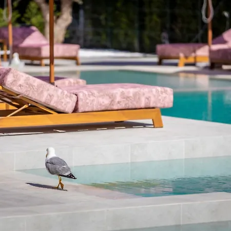 In Jadore Secret Garden Apartament